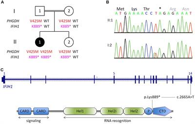 Recurrent and Prolonged Infections in a Child with a Homozygous <mark class="highlighted">IFIH1</mark> Nonsense Mutation